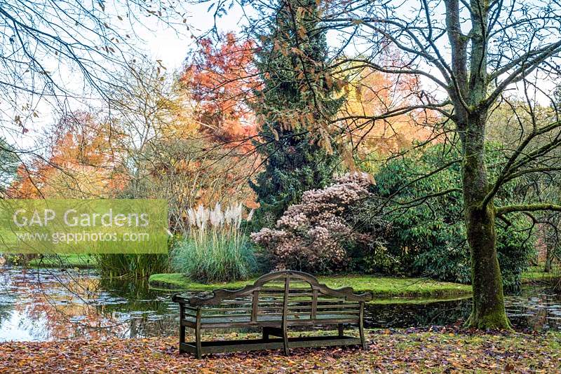 Bench positioned with a view of water, mature trees, shrubs and perennials