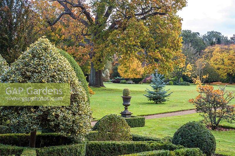 View across small topiary garden to lawn with specimen trees 