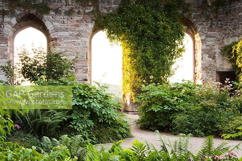 The Garden in the Ruins at Lowther Castle, planted with a range of shade loving plants including ferns and epimediums.