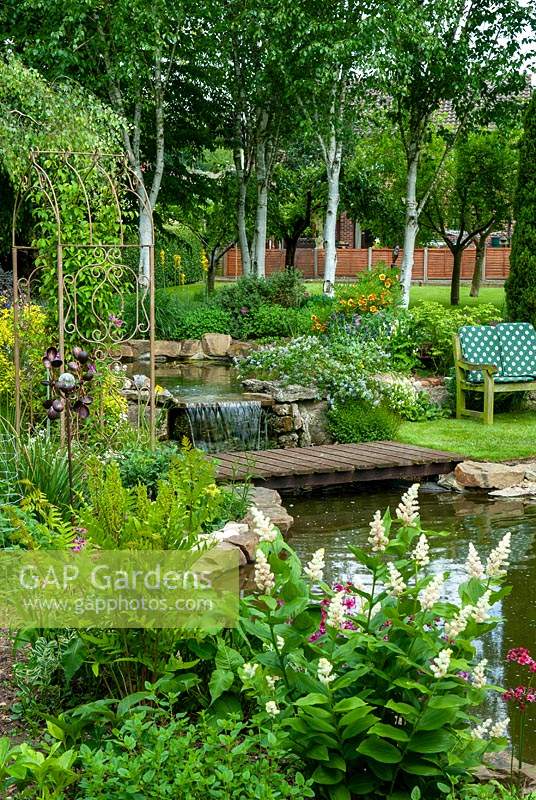 Small waterfall between garden pools, with foot bridge and border planting including Maianthemum racemosum - Soloman's Plume - Ferns and Ceonothus - Open Gardens Day, Bures, Suffolk