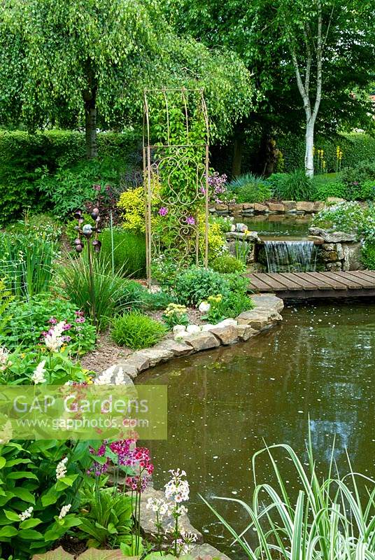 Small waterfall between garden pools, with foot bridge and border planting including Maianthemum racemosum - Soloman's Plume - Ferns, Grasses and Ceonothus - Open Gardens Day, Bures, Suffolk