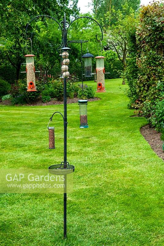 Well stocked bird feeding station in lawn - Open Gardens Day, Bures, Suffolk