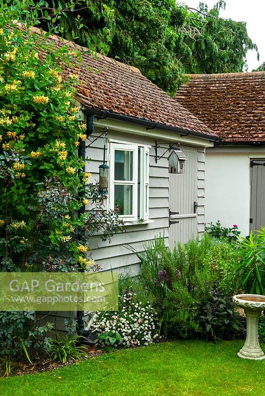 Garden shed with Honeysuckle and border plants, bird feeder and bird box on wall and bird bath nearby - Open Gardens Day, Earl Stonham,  Suffolk