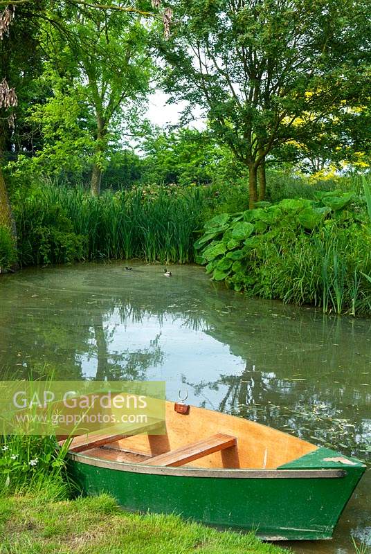 Dinghy moored on garden pond with distant marginal plants - Open Gardens Day, Earl Stonham, Suffolk