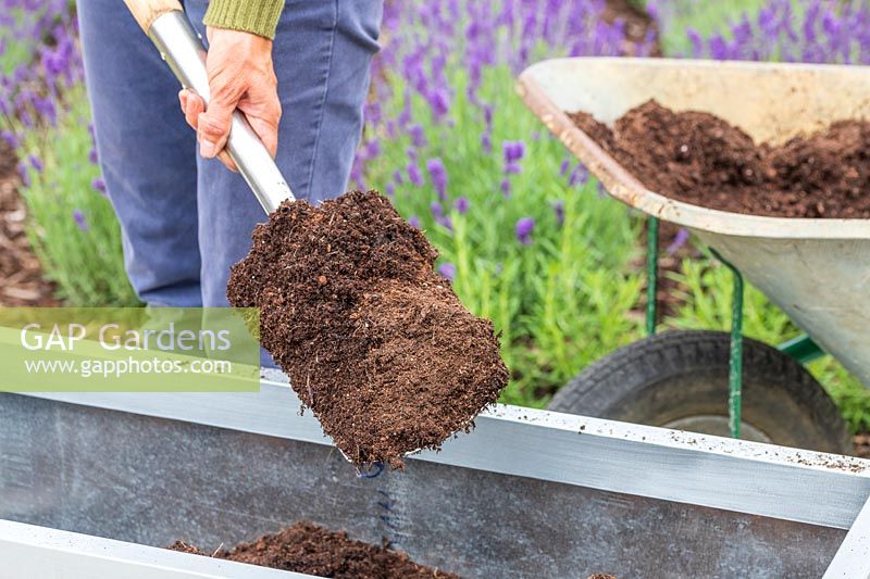 Woman willing a zinc trough with compost from a wheelbarrow using a spade