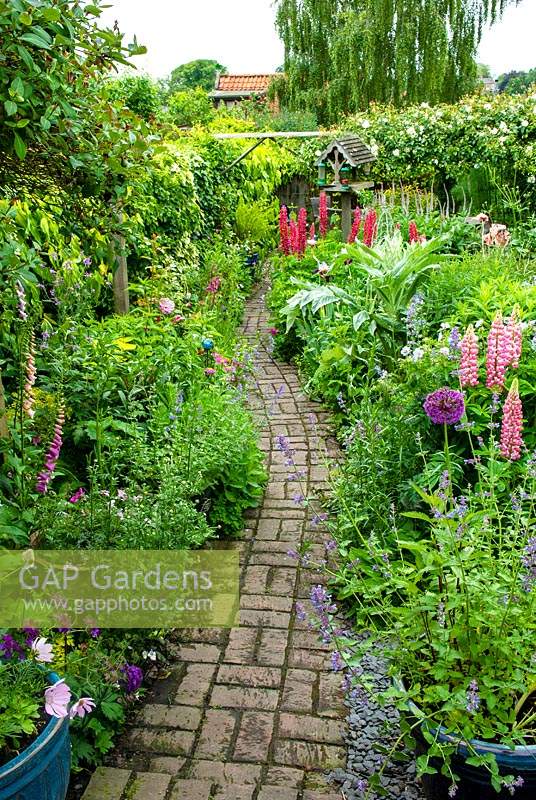 Long narrow cottage garden with brick path through dense herbaceous borders - Open Gardens Day, Coddenham, Suffolk