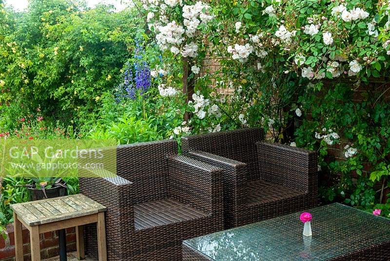Rattan garden chairs and table beside Rambling Rose 'Adelaide d'Orleans' and herbaceous border to the rear - Open Gardens Day, Coddenham, Suffolk