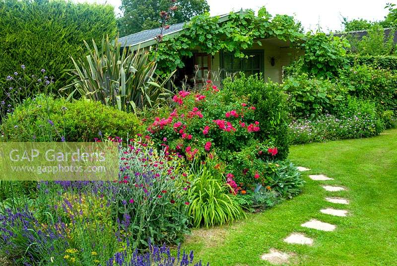 Summer border of Lavenders, Rose Campions, Verbena, Grasses, Rose bush, Phormium, Cranesbill Geraniums and various shrubs with stepping stones leading to vine covered summerhouse - Open Gardens Day, Kelsale, Suffolk