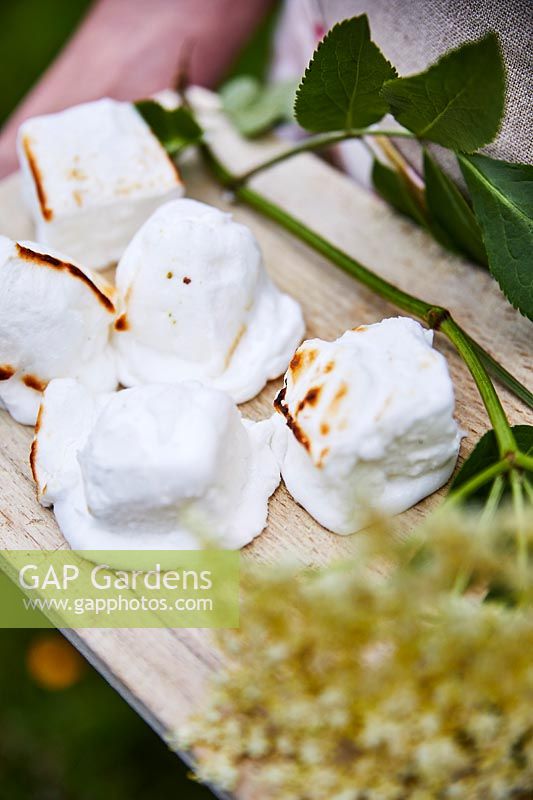 Roasted marshmallows with elderflowers