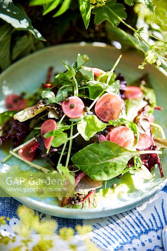 Salad with green leaves and sliced radish