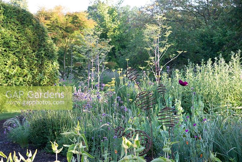 Large herbaceous border backed by Taxus hedge at Bluebell Cottage Gardens, Cheshire, UK
