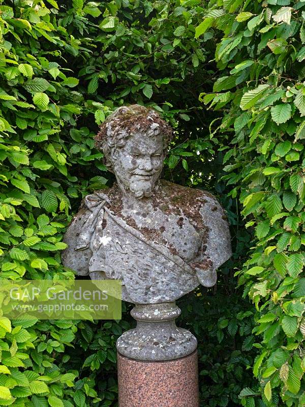 Classic statue surrounded by Fagus hedge
