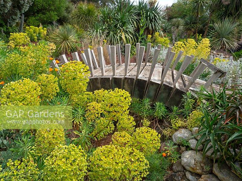 Wood bridge in a dry garden with Euphorbia 