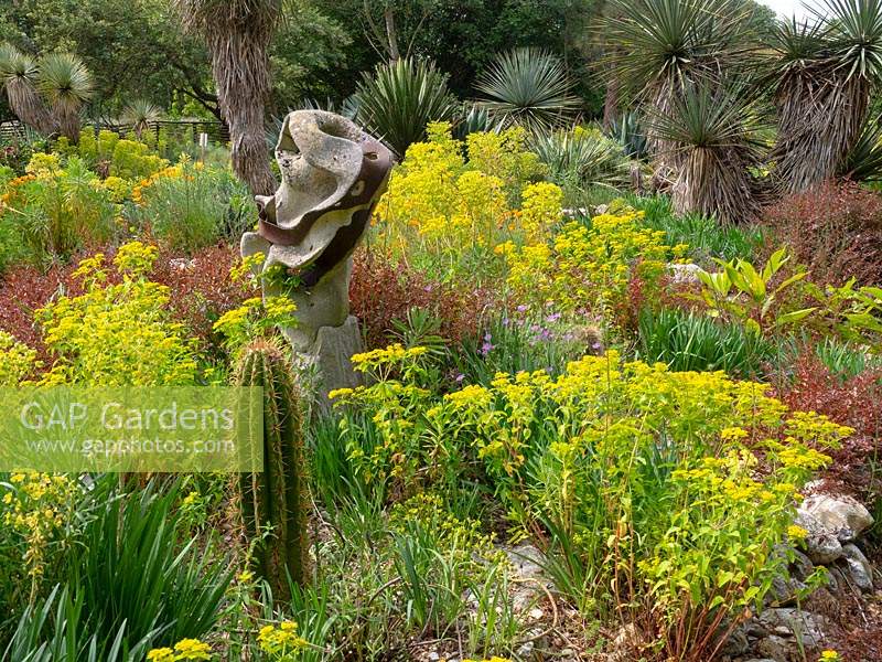 Dry garden with mixed planting among rocks and sculpture 