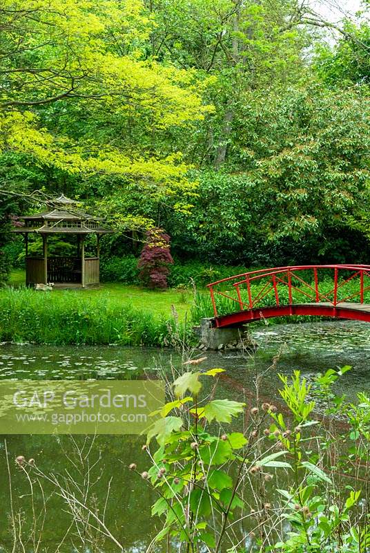 Red bridge over lake with Chinese pagoda style gazebo beyond - Open Gardens Day, Nacton, Suffolk