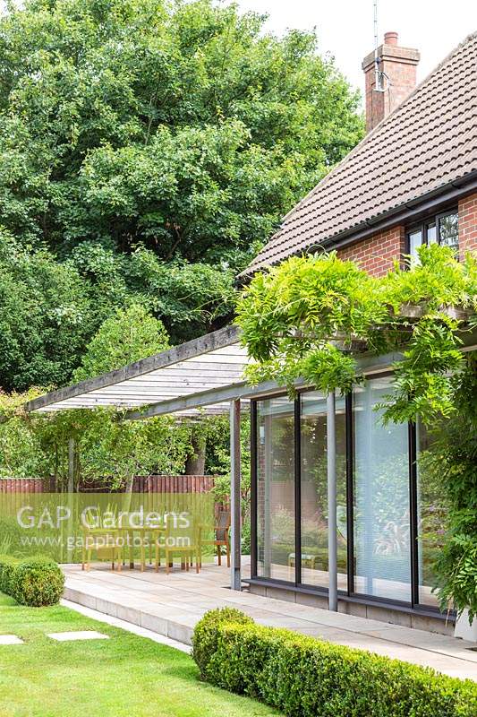 Patio and metal pergola with climbers running along house, edged with Buxus hedging 