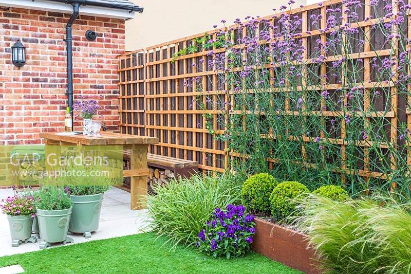 Dining furniture on patio by house, fence covered with trellis. Planter with Buxus, Verbena bonariensis and Stipa