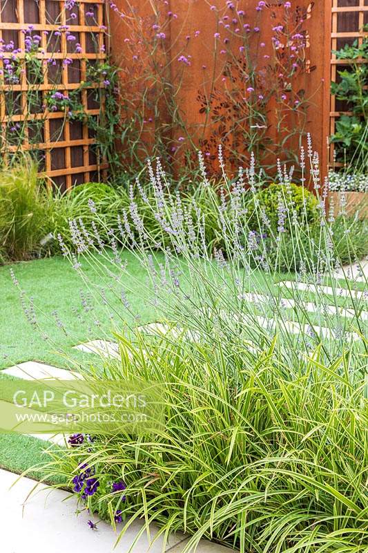 Border with Carex 'Ice Dance' and Lavandula separating the patio area and artificial lawn