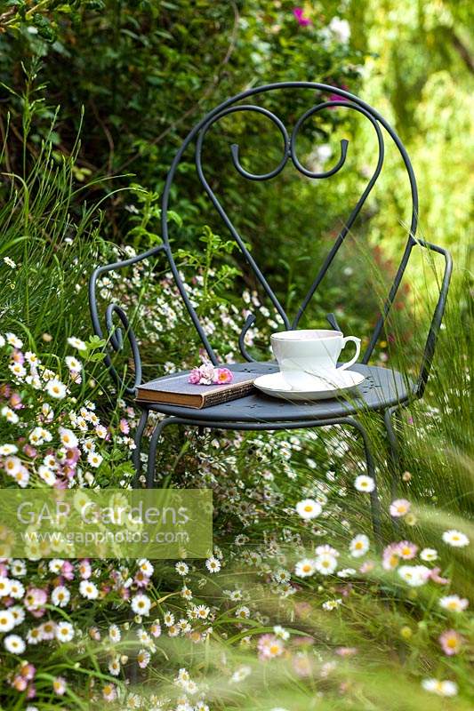 Garden chair with book and tea cup amids romantic planting of Erigeron karvinskianus and Nasella tenuissima in May