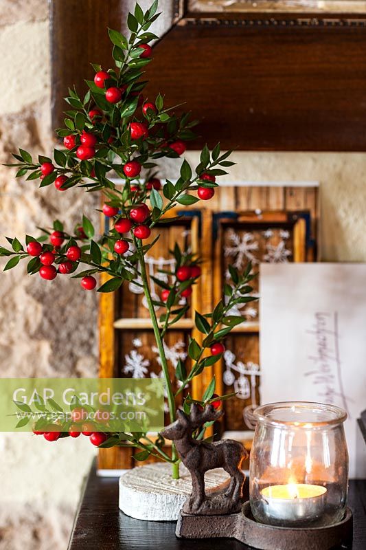 Festive mantlepiece with Ruscus aesculatus tree, candle and christmas cards - December