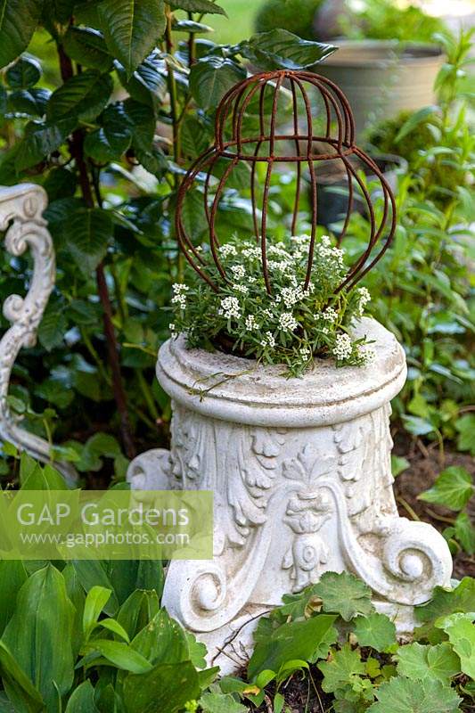 Potted vintage plinth with tiny metal frame around plant