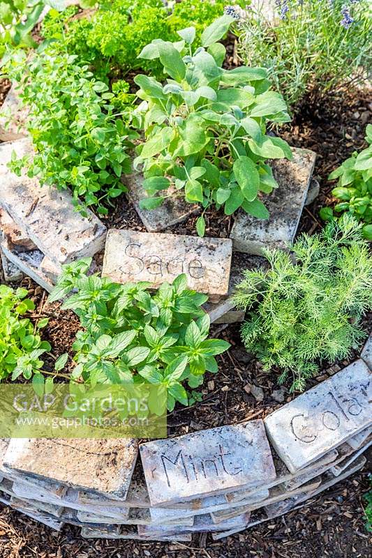 Names of herbs scatched into bricks in herb spiral