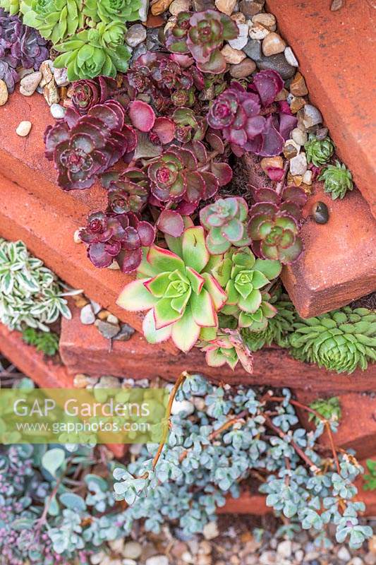 Detail of succulent tower with bricks, gravel and selection of plants