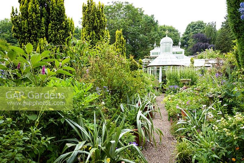 A path edged with silvery astelias leads towards a rare Mackenzie and Moncur glasshouse in the walled garden in June