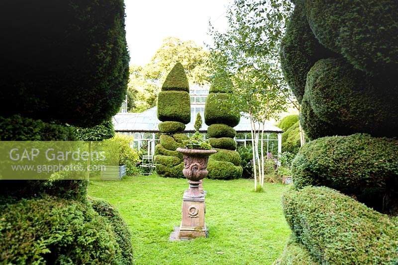 Topiary and decorative urn in front of glasshouse in the walled garden in June