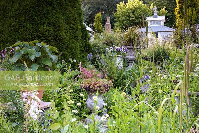 Walled garden in June full of lush planting, containers and structures including a tea house on stilts