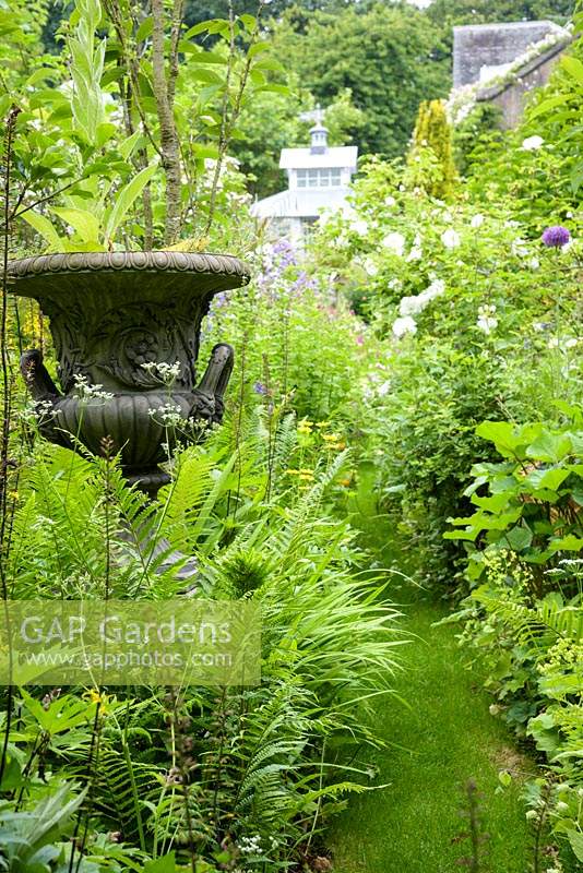 Grassy paths squeezed between borders packed with plants including ferns and roses and dotted with decorative urns in the walled garden 