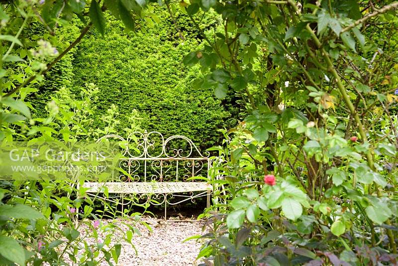 Decorative metalwork bench in the walled garden at Glassmount in June