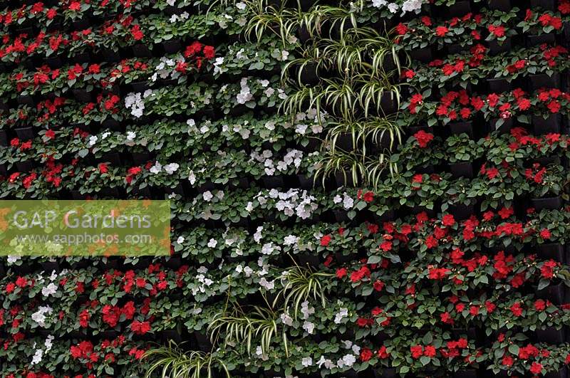 A vertical living wall garden with a built-in irrigation system to keep pot plants fed and watered.