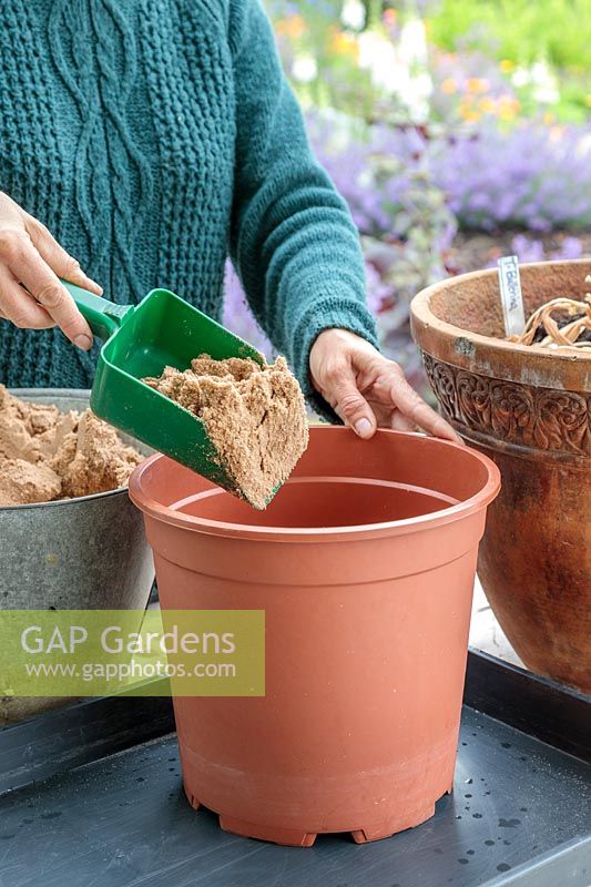 Woman using green plastic scoop to add sand to large plastic pot