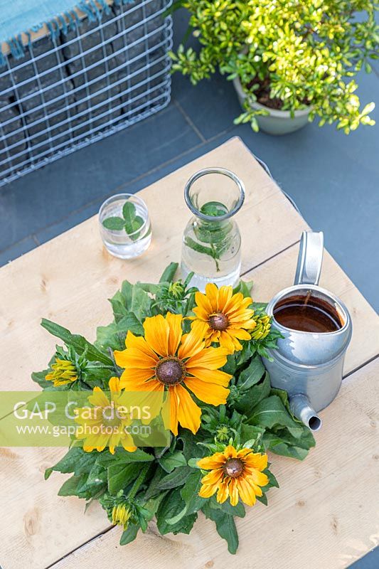 Gabion and scaffolding board table with built in planter, planted with Rudbeckia 'Summerina Butterscotch Biscuit'. Table dressed with glass, decanter and watering can. 
