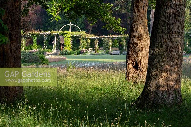 A glimpse of the Harold Peto pergola through the tree trunks at West Dean Gardens.  This Edwardian pergola is 100 metres long. Long grass and wild flowers, Ox-eye daisies surround the trees and blend into the mown lawn.