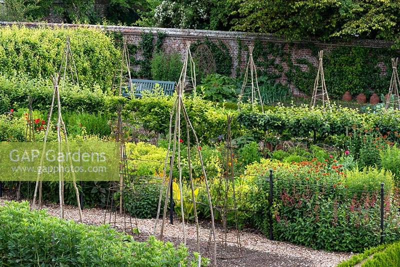 Rows of vegetables in the walled kitchen garden at West Dean. There are four large veg beds separated by a double herbaceous border and a fruit tree walk. 