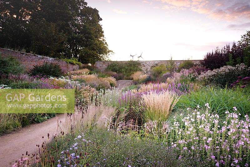 Double herbaceous borders in the walled garden are full of grasses and late season herbaceous perennials that flower long into autumn. 