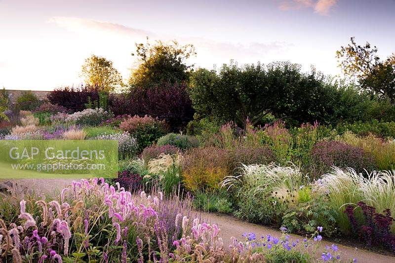 Double herbaceous borders full of grasses and herbaceous perennials, plants include: silvery Jarava ichu, Calamagrostis x acutiflora 'Karl Foerster' and Stipa calamagrostis amongst flowers such as Sedum, Monarda, Sanguisorba and Eupatorium