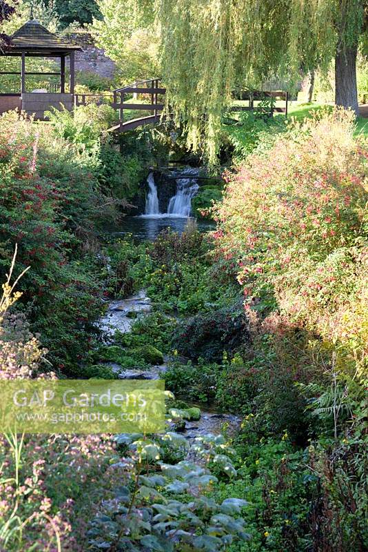 Stream running through the garden with planting on either side