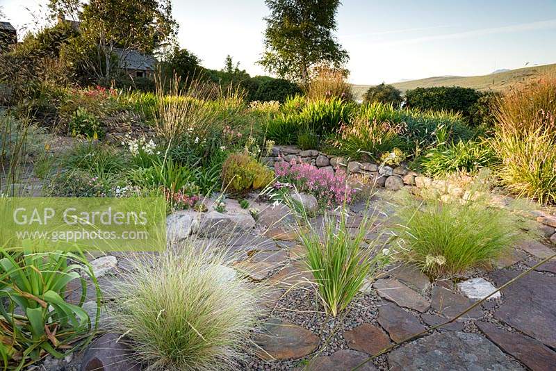 Stone paved terrace outside the house is broken up by grasses and dieramas around a raised bed containing largely South African plants. 