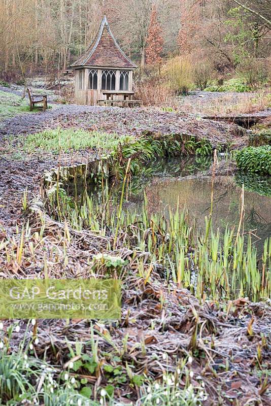 Stream running through the bog garden past a wooden summerhouse at the Old Rectory, Netherbury, UK. 