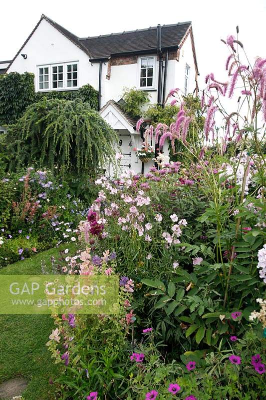 Profusion of pink flowers in beds in front of house