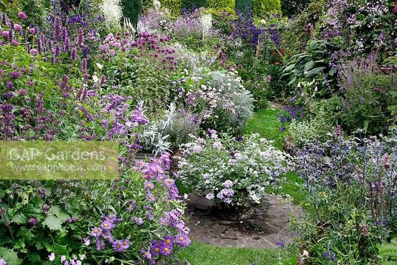 Profusion of purple flowers and silver foliage in a cottage garden