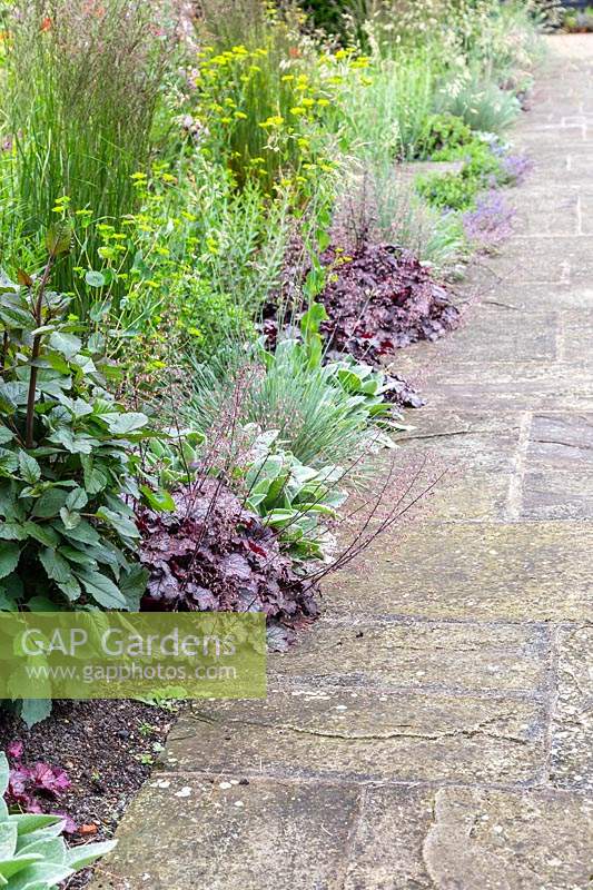 Festuca, Stachys and Heuchera planted along path - showing how to use repetition in planting scheme
