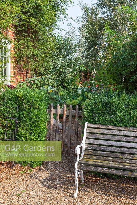 Cottage garden by house with rustic wooden side gate either side of hedge and wooden bench on gravel
