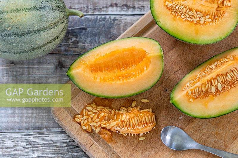 Melon 'Irina' quartered to reveal the fresh and seeds inside - seeds removed with a spoon
