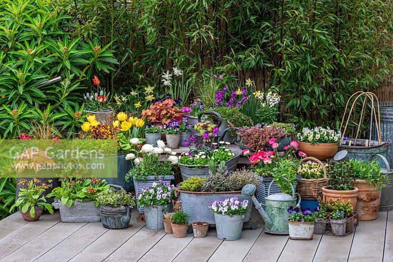 Spring container display