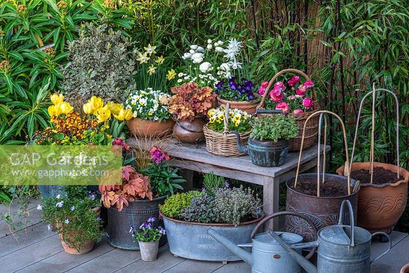 Spring container display in variety of pots 