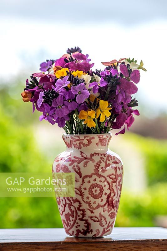 Vase of fragrant perennial wallflowers in spring.